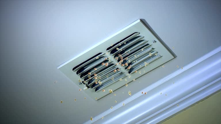 Best Affordable Air Duct Cleaning  in Pharr, TX