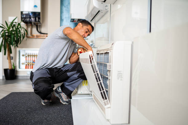 Best Professional Duct Cleaning Services  in Pharr, TX